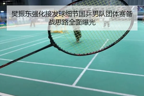 樊振东强化接发球细节国乒男队团体赛备战思路全面曝光