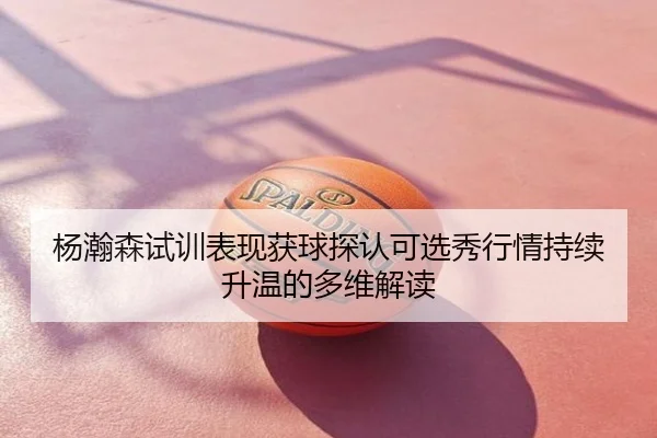 杨瀚森试训表现获球探认可选秀行情持续升温的多维解读